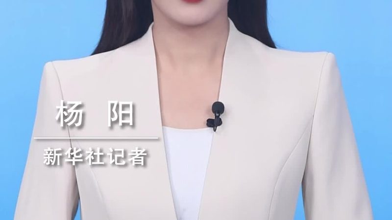 智能客服数据分析：揭秘背后的价值与挑战**